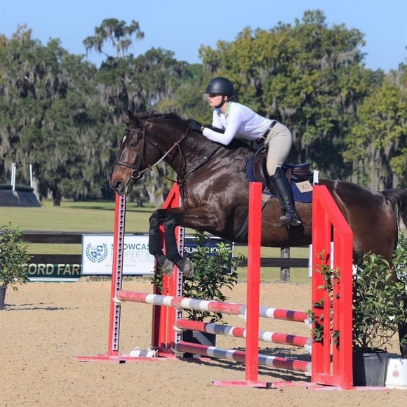 Meet your Posher, Christie-elyse - Picture 2 of 8